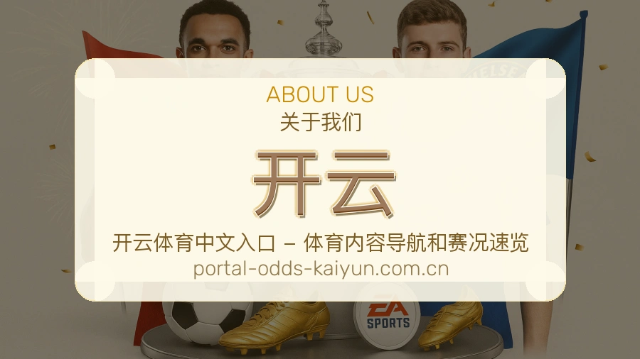 开云便捷访问服务说明